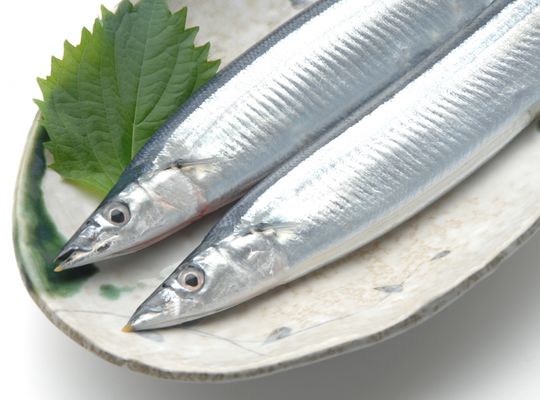 サンマ