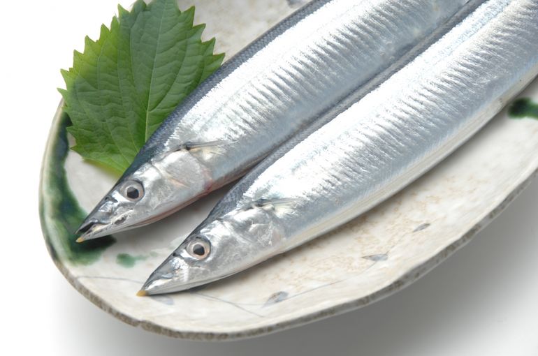サンマ