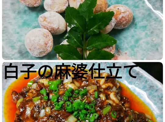 白子、銀杏