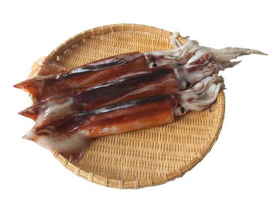 スルメイカ