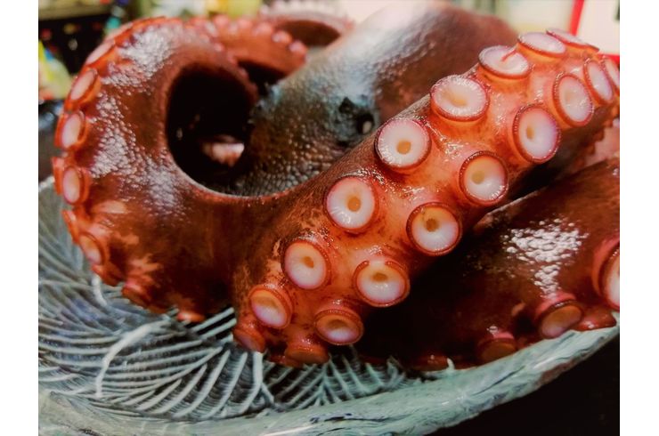 タコ