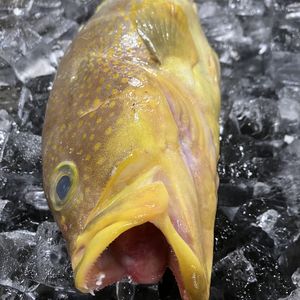 ハタ