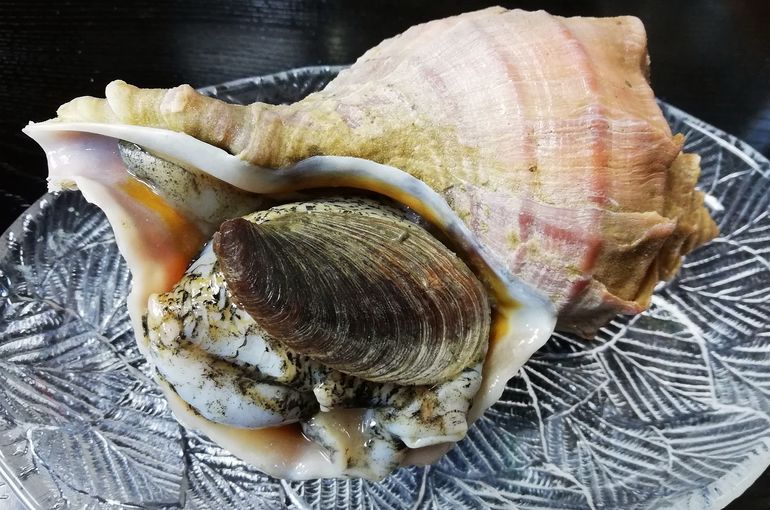 天然南マグロに北海道のツブ貝に美味しいラム肉入荷！美味しい料理に日本酒は浜松市中央区の居酒屋　魚きくで！