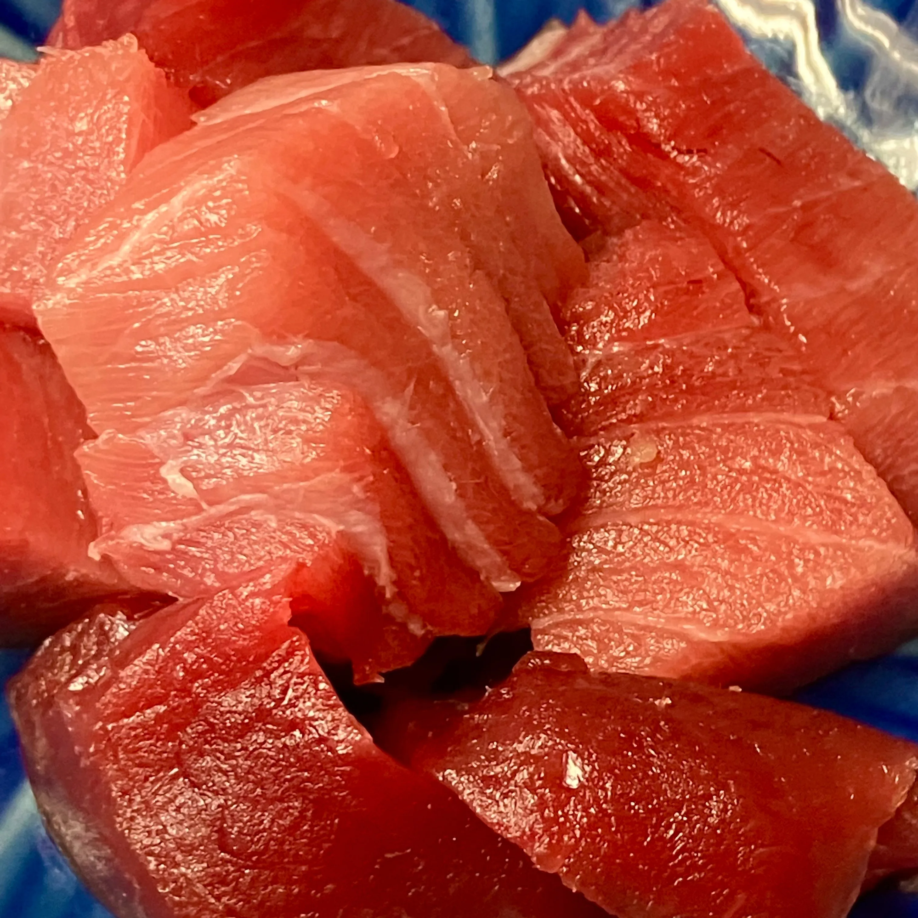 新鮮な天然南マグロが本日入荷いたしました!