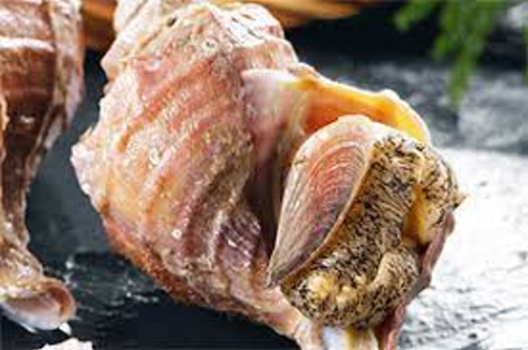 活〆の黒鯛にコリコリのつぶ貝！三陸の新メカブに篠原の新玉ねぎ！今日も美味しい旬の食材入荷満載です！