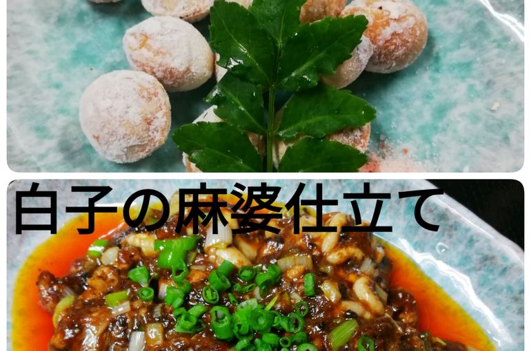 白子入荷！白子ポン酢に白子の麻婆！秋の食材満載です。