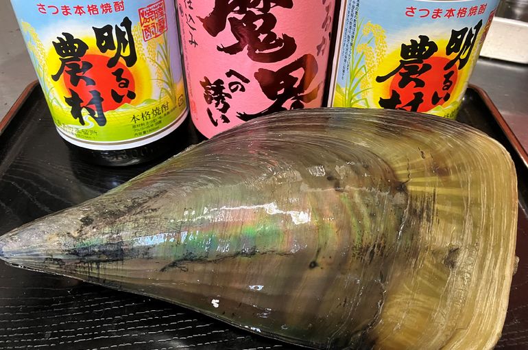 特大の平貝、脂乗り抜群のまぐろ！旬の味覚満載です！