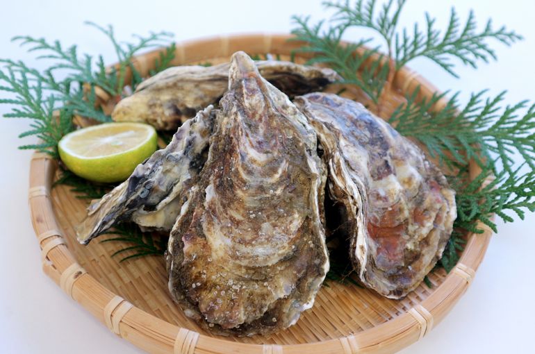 厚岸の生カキ、旬のあん肝、浜名湖芝エビ入荷！秋じゃがの煮つけも人気です！