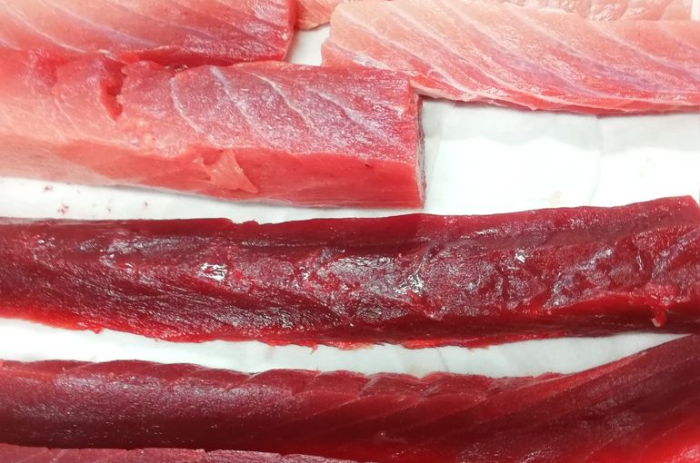 鮮度抜群の南マグロ、活〆茹で地タコ、ボラ、殻カキ！美味しいお刺身は魚きくで！