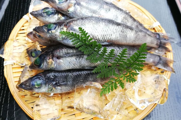 三河湾からメヒカリ入荷！カツオ、地タコ、サワラもおすすめです！
