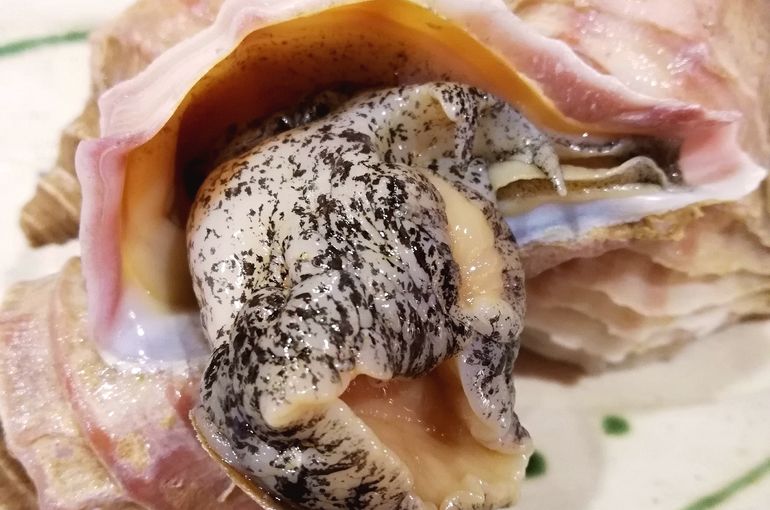 北海道産のマツブ貝入荷！あん肝、生マグロ入荷！全国新酒鑑評会　出品酒　吟も！