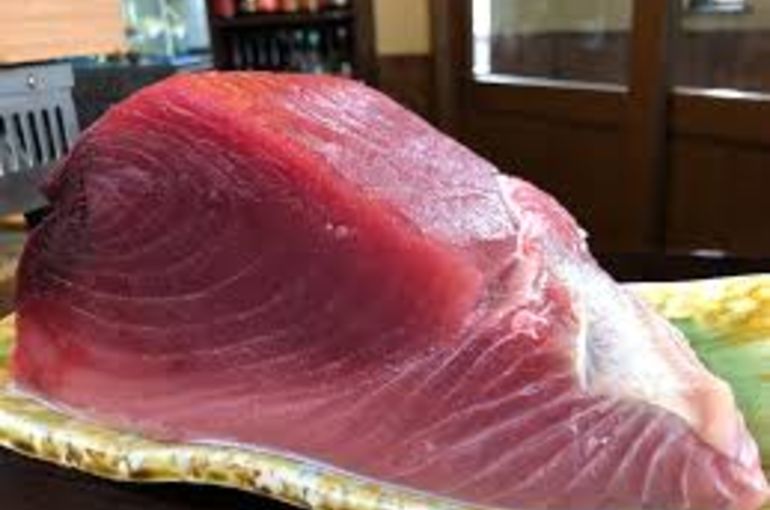 本日１７時より営業！初競りの生マグロおすすめです！