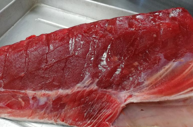 塩釜漁港から生マグロ入荷！活〆カンパチ、天然真鯛もオススメです！