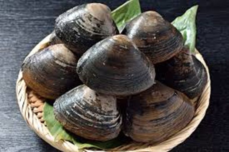 旬のホッキ貝、天然ブリ、瀬戸内海のサバ入荷！ｇｏ　ｔｏ　ｅａｔ食事券も使えます！