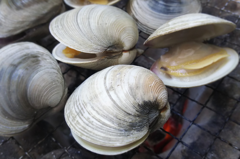 浜松の居酒屋・魚きくのホンソビス貝の酒蒸し