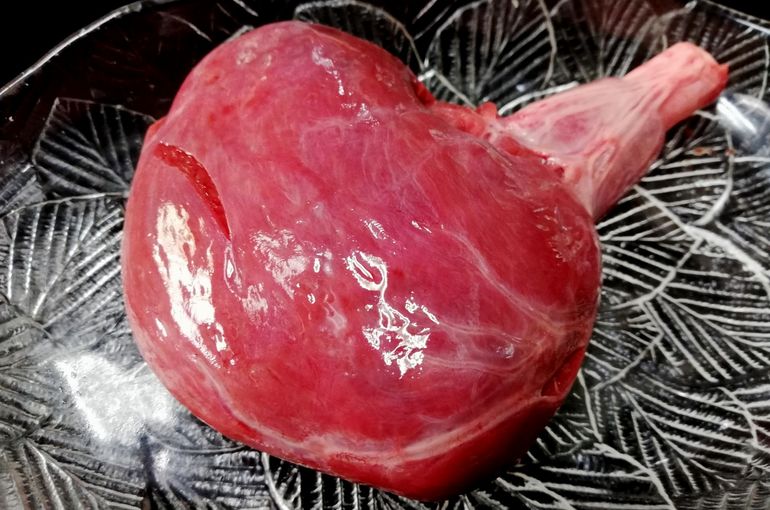珍味サメの心臓入荷！