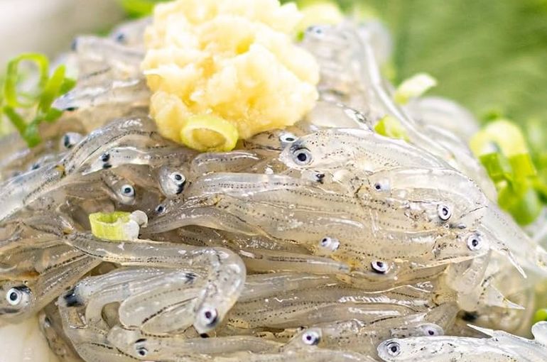 舞阪港から生シラス入荷！白子の麻婆もご用意。