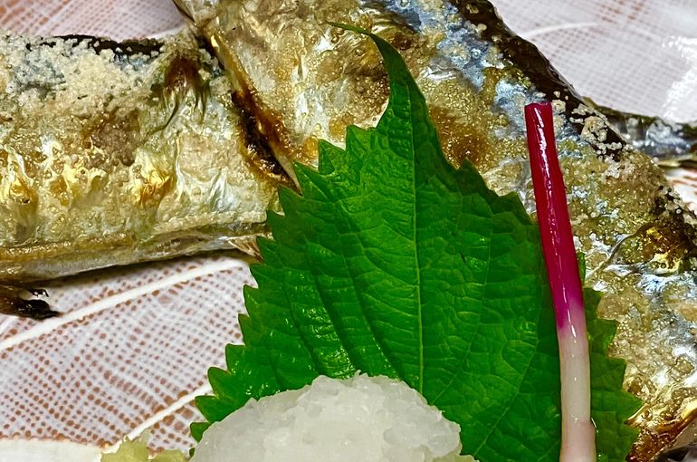 北海道から新鮮な特大サンマ入荷！美味しい料理に日本酒は浜松市中央区の魚きくで！